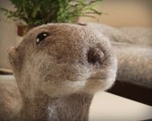 Needle felted baby otter, ooak art toy