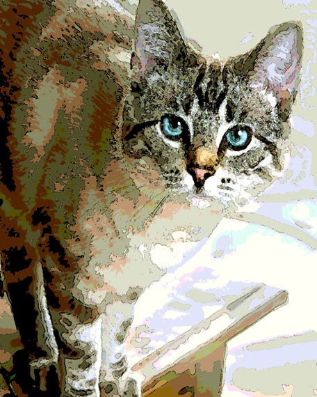Kitten - Siamese mix - blue eyed cat - art for pet lover - watercolor like treatment stunning award winner 5x7 matted to 8x10