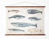 LARGE A1 Whales Canvas poster a1 - vintage illustration educational wall chart illustration WAP2001