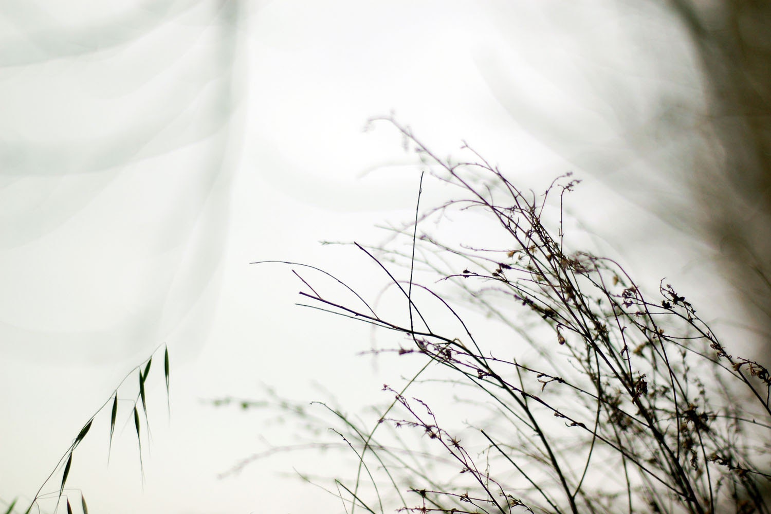 Unravel - Photo print 20x30cm