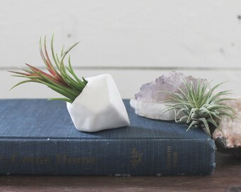 Faceted Porcelain Air Plant holder No.4 -Plant Included-