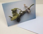 Eternal Mistletoe for the Perpetually Hopeful Greeting Card