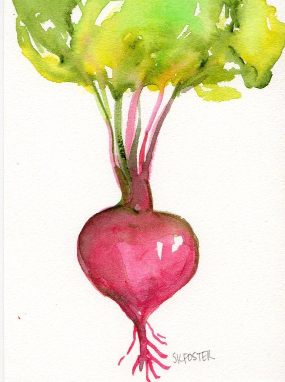 Beet Watercolor Painting Original Vegetable By Sharonfosterart