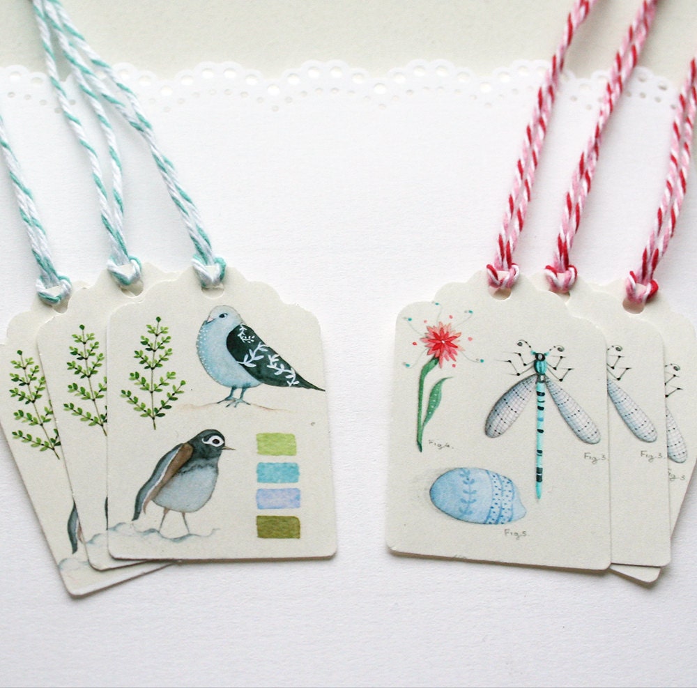 Tiny Curiosities (Labels)