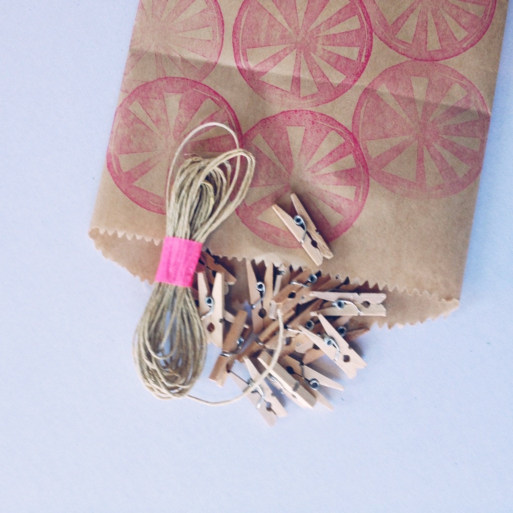 Teeny Tinny 1 inch clothes pins - set of 25 with twine