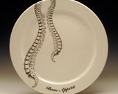 Spinal Cord BONE APPETIT 9 inch dinner plate No. 2 NEW