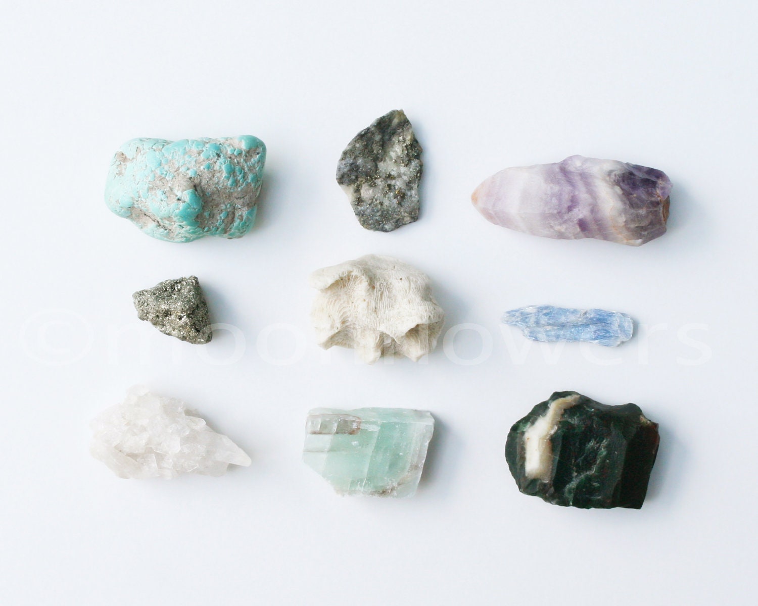 Minerals. 8x10 Fine Art Photograph. Natural History.