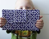 blue for want to be your Pocket Book