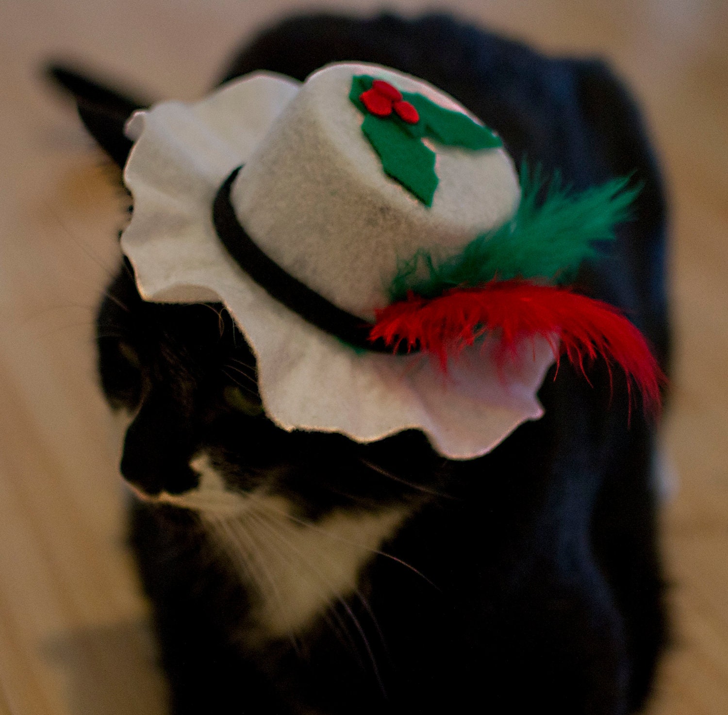 Christmas Cat Hat
