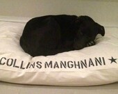 Medium 25x38 Dog Bed Duvet Cover : Choose from MANY canvas colors - Use two standard sleeping pillows as stuffing