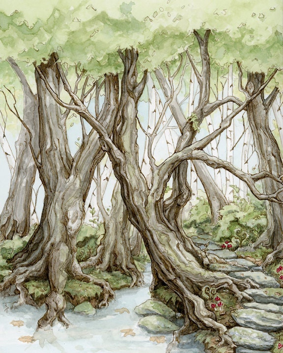 A Path in the Woods 8x10" Print on 11x14" Paper