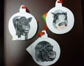 Pet Portrait Memorial Ornament 3 piece set Hand Painted and Made to Order by Pigatopia