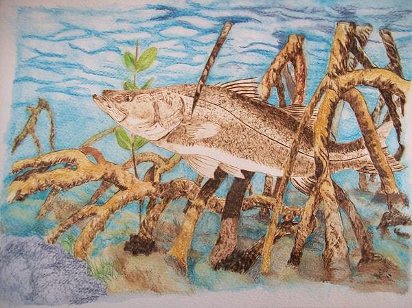 Snook Fish Pet Portrait Memorials Burned on Paper 9 x 12 inches Made to Order with Frame by Pigatopia