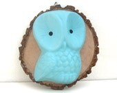 Handmade Chalkware Owl Wall Hanging on Wood Slice Wall Decor - Light Blue
