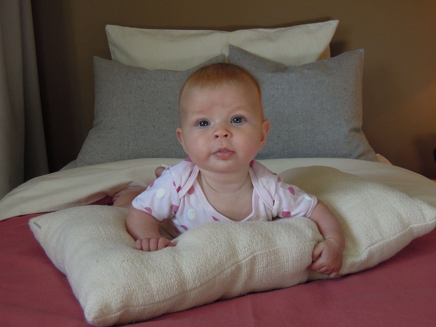 Organic Pillow, Natural Hemp, 14 x 24