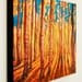 Birch Trees in the Fall--16x20 Fine Art Canvas Print