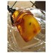 Natural - BALTIC AMBER - Encapsulated Wing