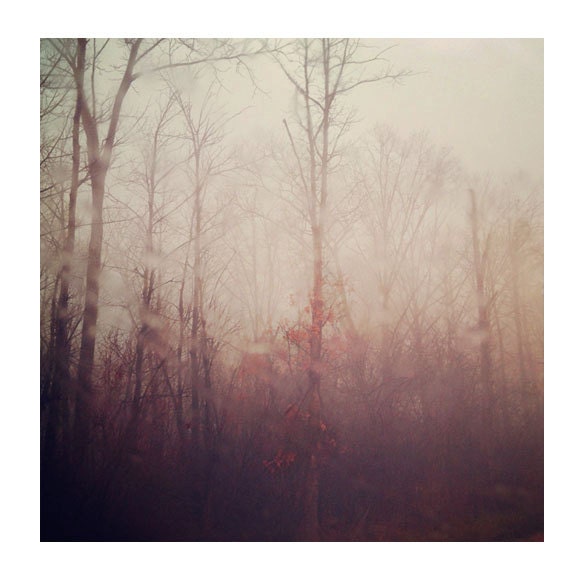Ethereal Nature Photography, Winter Haze, 8x8 Print, Dreamy Peach Color, Morning Fog, Trees, Autumn Leaves