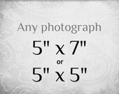 5x5 or 5x7  Any Photography Print