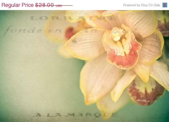 Summer Solstice Sale Lorraine . tangerine orchid . flower photography . botanical print . cottage chic home decor . flower photography
