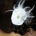 Ivory Bridal Hair Piece, Wedding Hair Flower Fascinator, Ivory Wedding Headpiece, Ivory Wedding Fascinator Vintage Wedding Hair
