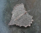Real Leaf Brooch Pin Pendant - Sterling Silver - Cottonwood