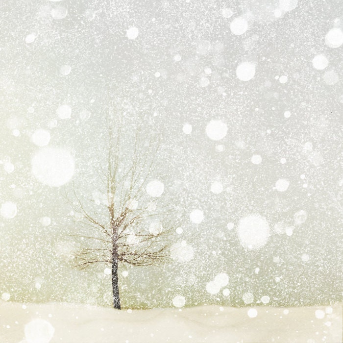 Landscape photography, bare tree, falling snow, winter white, bokeh, holiday decor, Christmas, snowflake, neutrals, minimalist, modern decor - bomobob