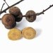 Tiny Post Earrings Wooden Tree Branch Studs Reclaimed Wood Eco Friendly Jewelry by Hendywood