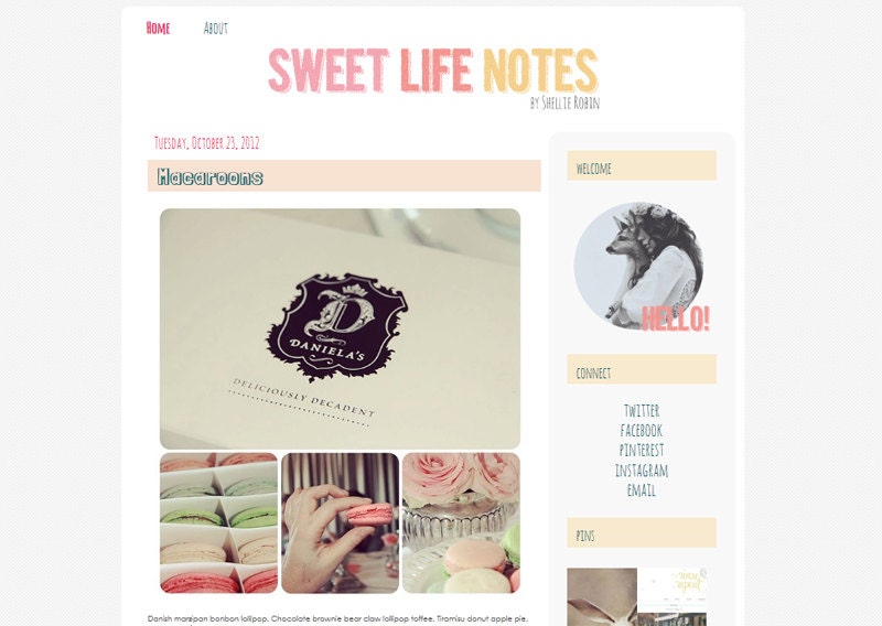 Premade Blogger Template Shellie Robin