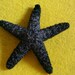 Black, black Starfish, ocean, Beach wedding, tropical wedding, bridal, starfish barrette, starfish hair clip, fish, ocean clip