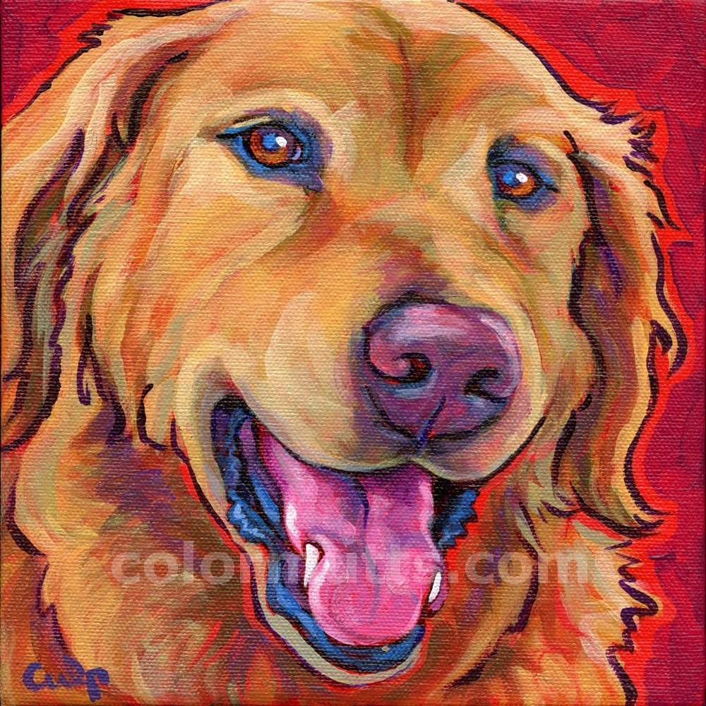 Colorful GOLDEN Retriever Dog Art Original Portrait Painting 8x8 by Lynn Culp