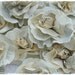 Over Sized  Paper Flower Roses from Vintage Book Pages 4 Large and 4 EXTRA Large DIY Crafts Home Decor Weddings Backdrops Photo Shoots