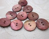 10 Medium Copper Shell Buttons