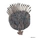 artichoke thistle botanical giclee art print watercolor reproduction