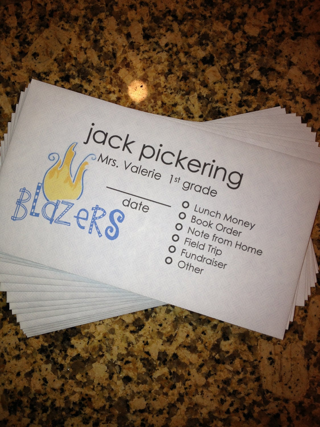 PERSONALIZED SCHOOL ENVELOPES -  Valley View Blazers 20 envelopes