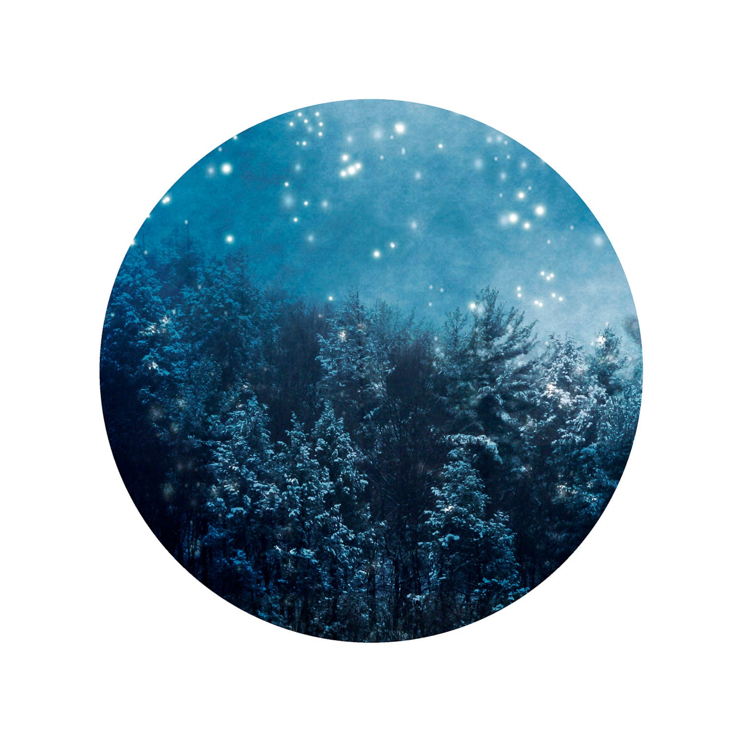Winter Photography, Blue, white, snow, winter home decor, Blue Mountain Pines, nature fine art photography print 12x12