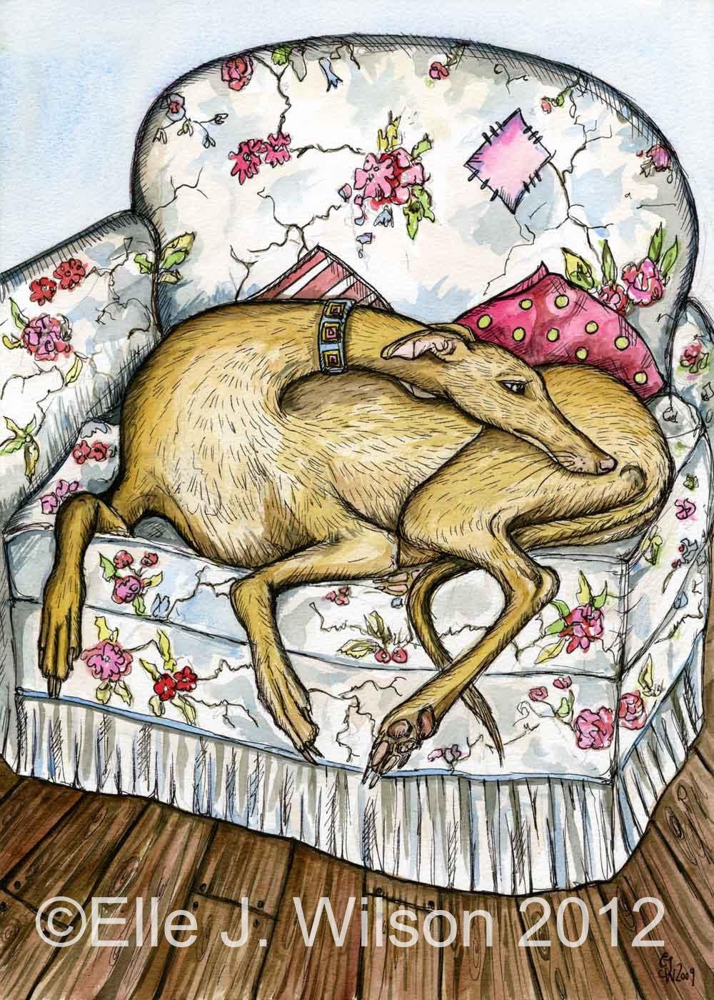 A Little Day Dream - Greyhound Dog Print by Elle J Wilson