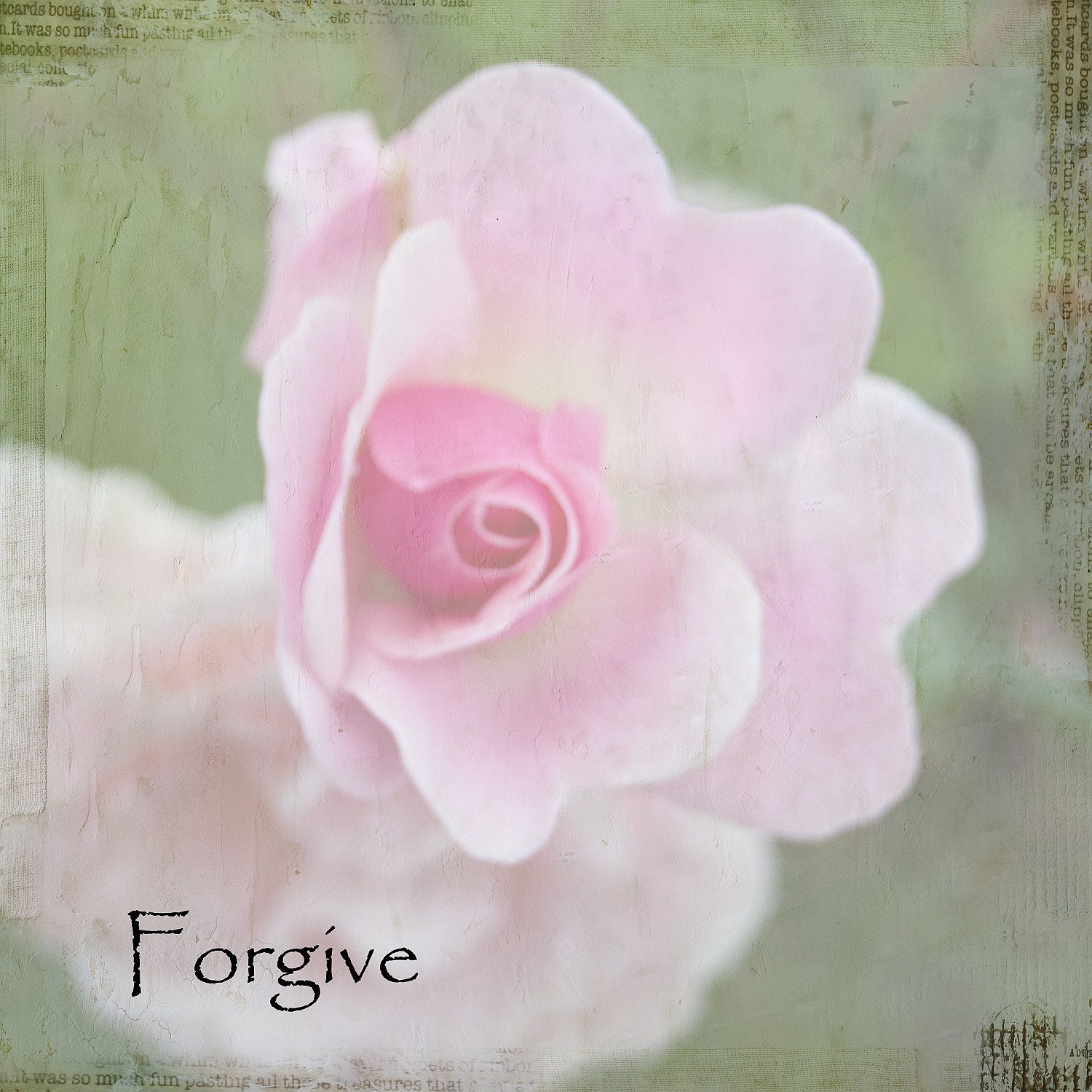 Forgive Postcard with envelope - Set of 5