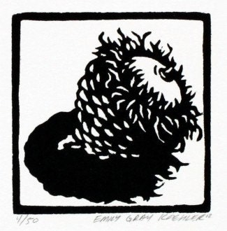 Acorn Woodcut