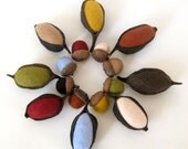 ON SALE - Nature Center Piece - Home Decor - Nature display -  Needle wool Felted - 8 Pods and 8 acorns filled with Fall Shades