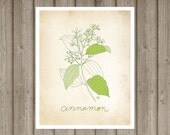 Cinnamon - art print