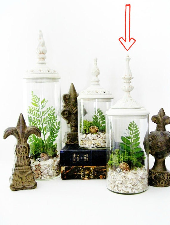 Last One - Decorative Terrarium Set: Woodland White Shabby Chic Jars with Live Plants
