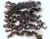Doll Hair / washed Black Curls Locks / Doll Wig Fiber / Blythe Dolls / Reborn Dolls/ BJD/ Art Doll / MSD / Gorgeous Natural / Ready to Ship