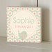 Baby Bird Custom Wooden Name Plaque/Door Sign Personalized Nursery Art