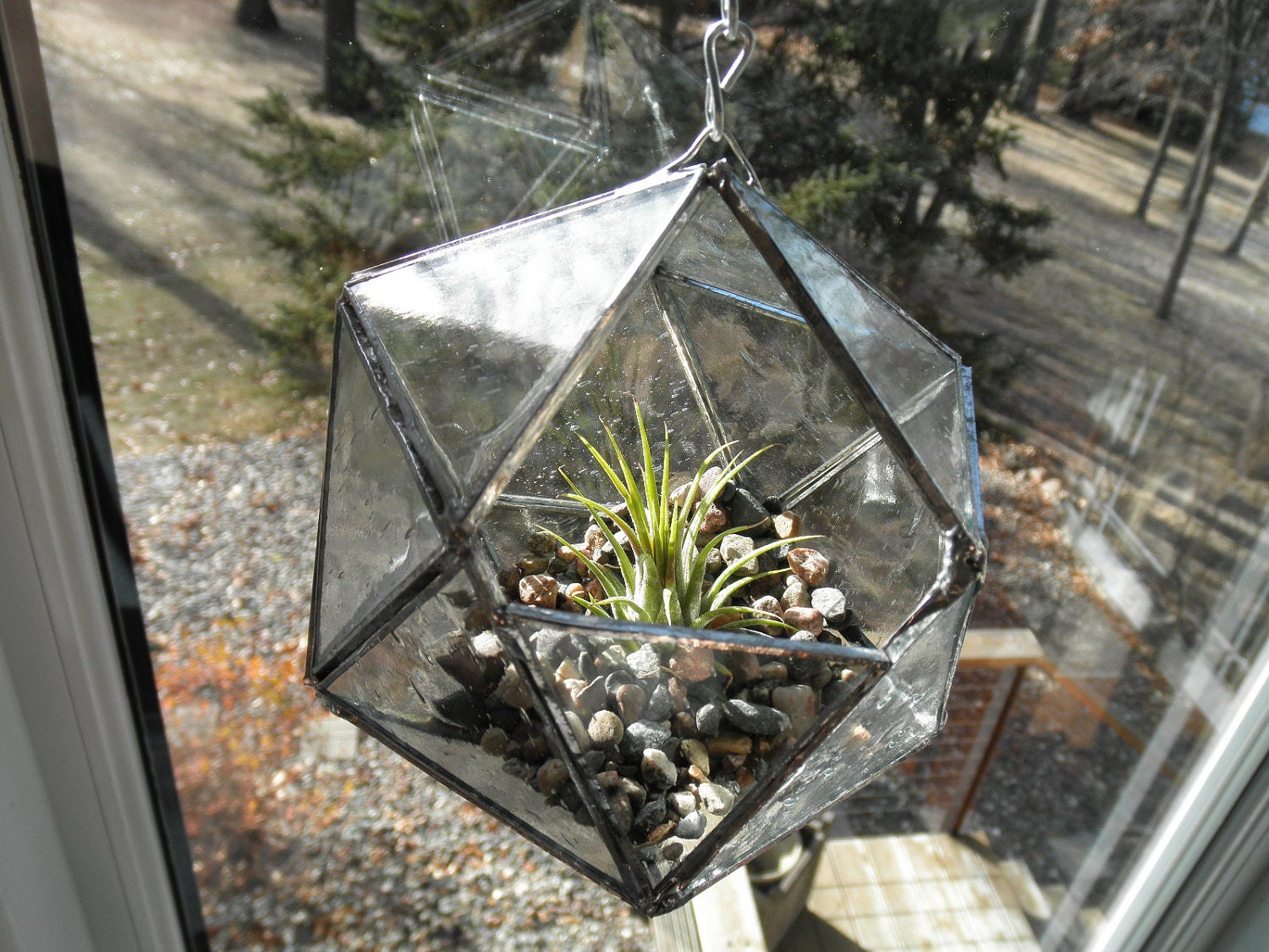Hanging Glass Terrarium