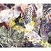 Deep Woods - Large Archival Print