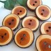 9 Wood Buttons 1 1/8 Inch English Yew Tree Branch Wooden Buttons   for Hats, Cowls, Scarves, Mittens