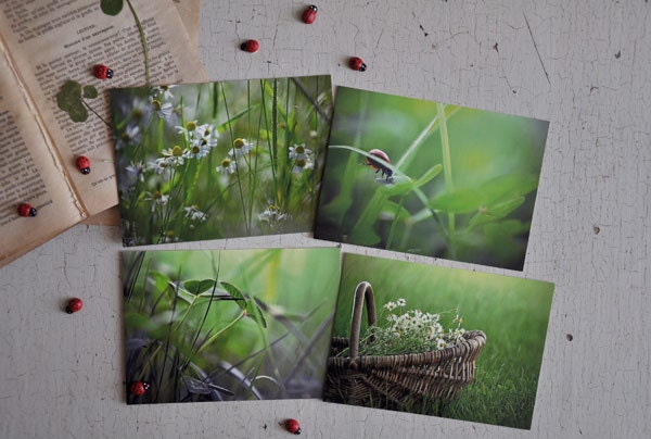 Set of 4 postcards. "A summer afternoon..."