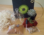 RESERVED for AmberNights, Custom Wedding Terrariums with 5.5" Globes