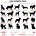 Dog Silhouette Gift Enclosures Personalized